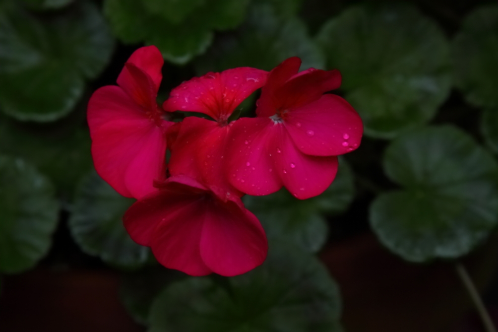 2012 10 24 9999 19